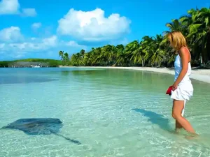 Mantarraya en la playa de Isla Contoy