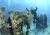 Buceo Principiantes y Certificados