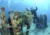Buceo en Cancun