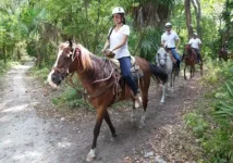 Cabalgata en la selva