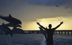 Atardecer en Dolphin Isla Mujeres