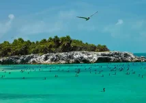Refugio de aves en Isla Contoy