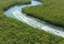 Canales entre el manglar
