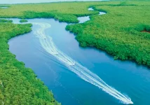 Canales hacia el mar desde la laguna Nichupte