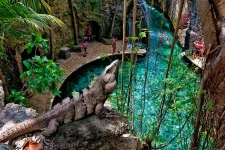 Salida de los ríos subterráneos en Xcaret