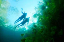 Snorkel en cenote